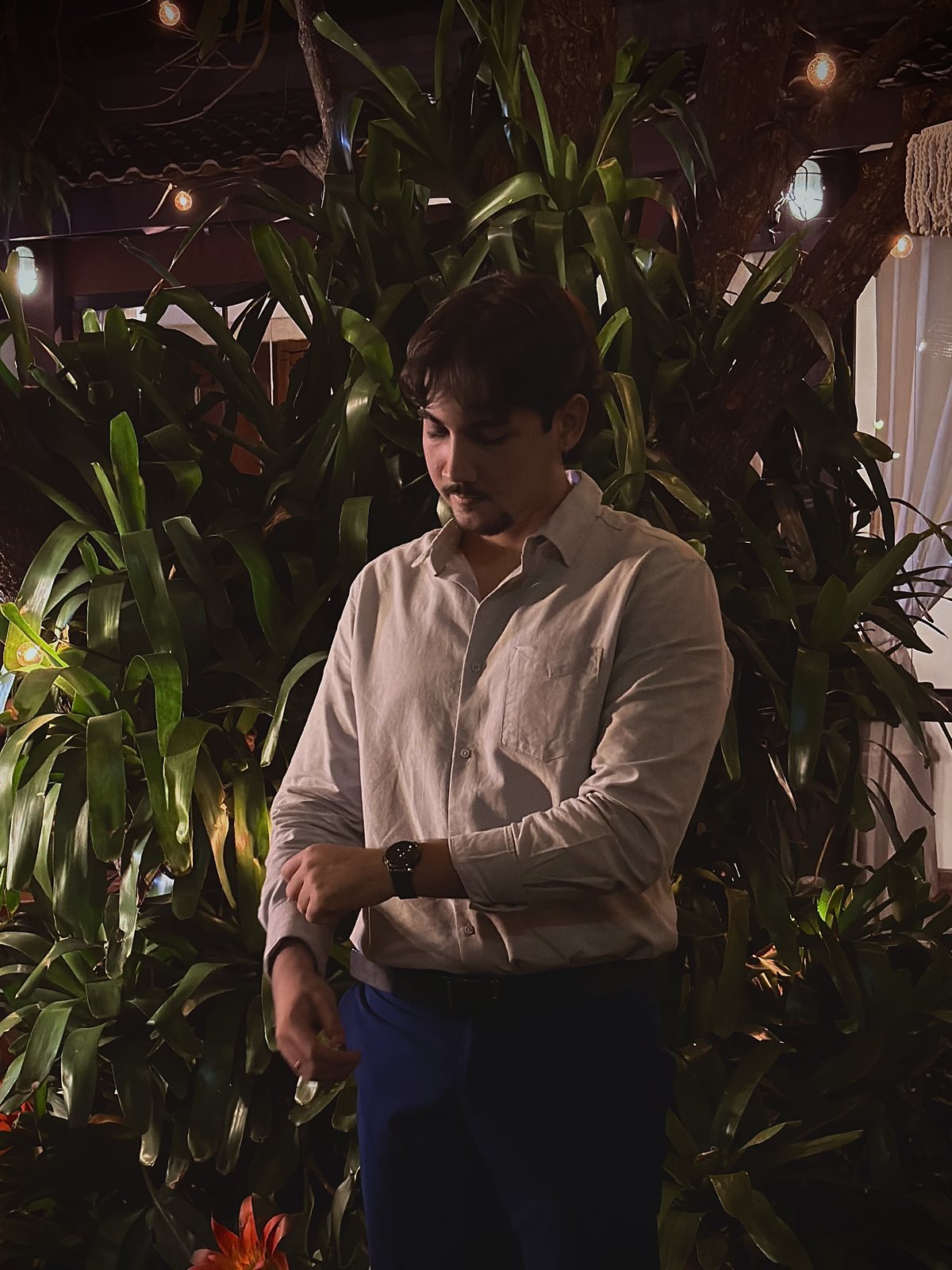 Yunguer among plants at night
