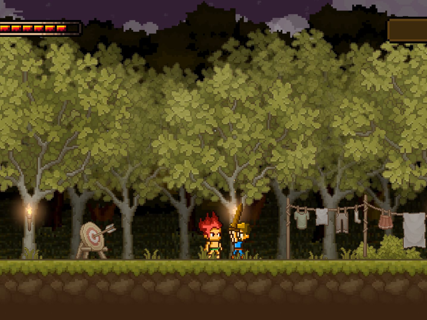 Forest at night